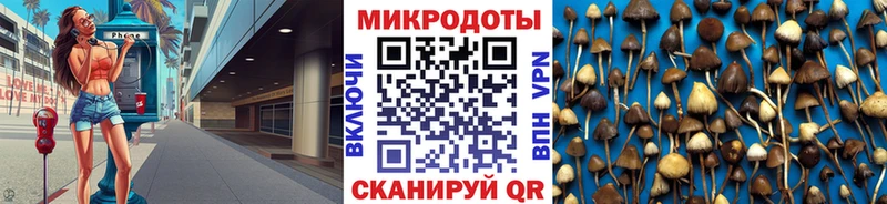Псилоцибиновые грибы Magic Shrooms  Ревда 